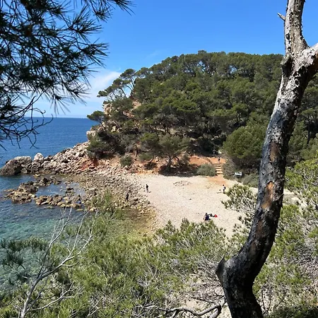 Horizon Bleu : Pieds Dans L'eau * Bandol